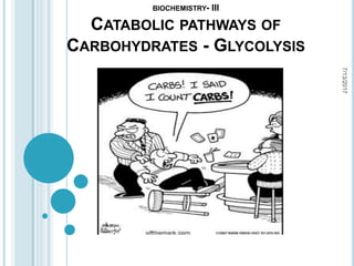 BIOCHEMISTRY- III
CATABOLIC PATHWAYS OF
CARBOHYDRATES - GLYCOLYSIS
7/13/2017
 