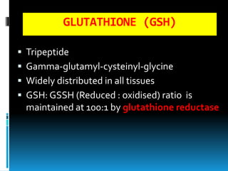 glutathione slideshare Glycine metabolism