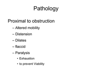 Pathology
Proximal to obstruction
– Altered mobility
– Distension
– Dilates
– flaccid
– Paralysis
• Exhaustion
• to prevent Viability
 