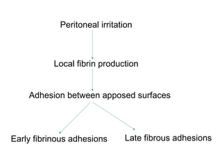 Peritoneal irritation
Local fibrin production
Adhesion between apposed surfaces
Early fibrinous adhesions Late fibrous adhesions
 