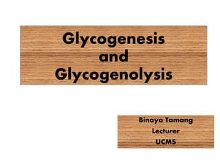 Glycogenesis
and
Glycogenolysis
Binaya Tamang
Lecturer
UCMS
 