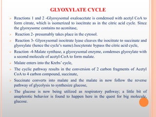 Glyoxylate Cycle- Basic idea and biochemical cycle with importane | PDF