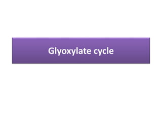 Glyoxylate cycle | PPTX