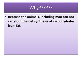 Why??????
• Because the animals, including man can not
carry out the net synthesis of carbohydrates
from fat.
 