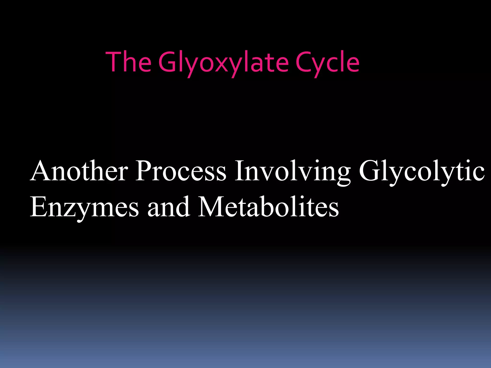 The Glyoxylate Cycle
Another Process Involving Glycolytic
Enzymes and Metabolites