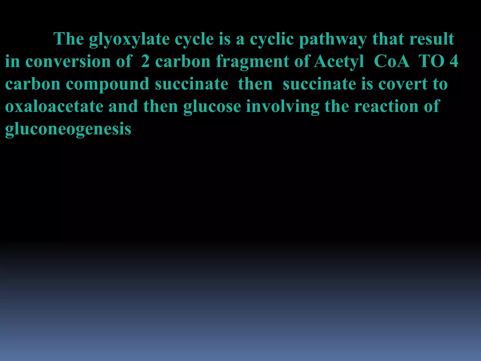 The glyoxylate cycle is a cyclic pathway that result
in conversion of 2 carbon fragment of Acetyl CoA TO 4
carbon compound succinate then succinate is covert to
oxaloacetate and then glucose involving the reaction of
gluconeogenesis