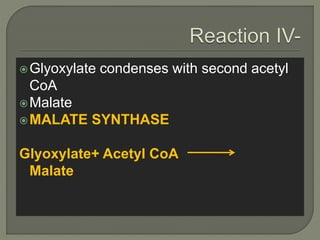 Glyoxylate cycle | PPTX