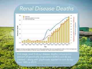 Renal Disease Deaths
End stage renal (kidney) disease deaths compared to
percent of genetically engineered (GMO) corn & so...