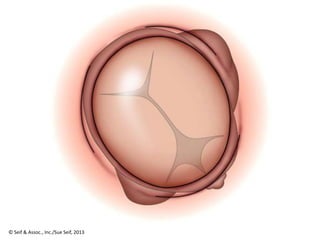 © Seif & Assoc., Inc./Sue Seif, 2013
 