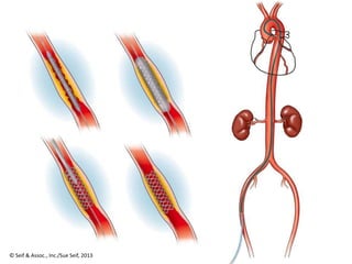 Ā© Seif & Assoc., Inc./Sue Seif, 2013