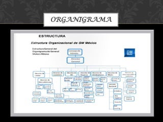 ORGANIGRAMA
 
