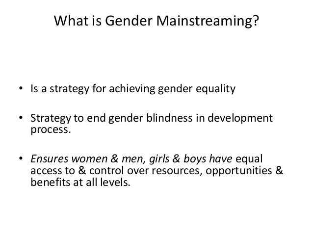 what is gender mainstreaming essay