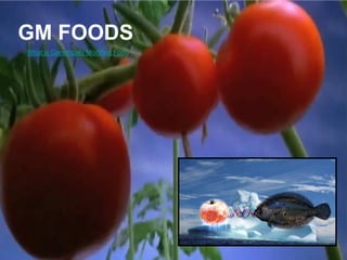 GM FOODS
What is Genetically Modified Food
 