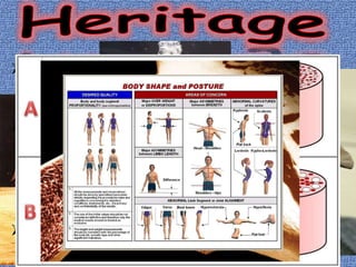 Health problems
(Asthma, Vision, etc.)
Structural Problems
(Flat Feet, Lordosis,Taller, Smaller, etc)
Biotype
(Meso-Ecto-Endomorphys)
Differences
(Biomechanicals, Biologicas, etc
Heath-Carter
CHLLT
 