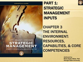 Authored by:
Marta Szabo White. PhD.
Georgia State University
PART 1:
STRATEGIC
MANAGEMENT
INPUTS
CHAPTER 3
THE INTERNAL
ENVIRONMENT:
RESOURCES,
CAPABILITIES, & CORE
COMPETENCIES
 