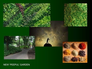NEW ‘PEEPUL’ GARDEN
 