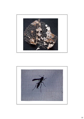 Metodologia de Projeto - Design Processo - 2.2.BAI430