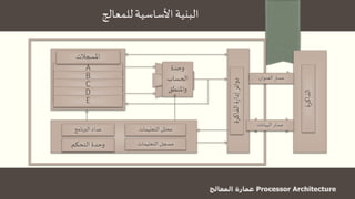 ‫للمعالج‬‫األساسية‬‫البنية‬
‫البرنامج‬ ‫عداد‬ ‫التعليمات‬‫محلل‬
‫التعليمات‬‫مسجل‬‫التحكم‬ ‫وحدة‬
A
B
C
D
‫املسجالت‬
‫وحدة‬
‫الحساب‬
‫واملنطق‬
‫الذاكرة‬‫ة‬‫ر‬‫إدا‬‫دوائر‬
‫الذاكرة‬
‫العنوان‬ ‫مسار‬
‫البيانات‬ ‫مسار‬
E
 