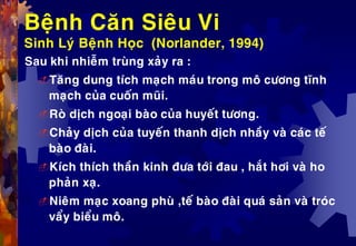 Beänh Caên Sieâu Vi
Sinh Lyù Beänh Hoïc (Norlander, 1994)
Sau khi nhieãm truøng xaûy ra :
Taêng dung tích maïch maùu trong moâ cöông tónh
maïch cuûa cuoán muõi.
Roø dòch ngoaïi baøo cuûa huyeát töông.
Chaûy dòch cuûa tuyeán thanh dòch nhaày vaø caùc teá
baøo ñaøi.
Kích thích thaàn kinh ñöa tôùi ñau , haét hôi vaø ho
phaûn xaï.
Nieâm maïc xoang phuø ,teá baøo ñaøi quaù saûn vaø troùc
vaåy bieåu moâ.
 