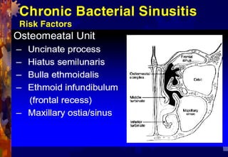 Chronic Bacterial Sinusitis
Risk Factors
 