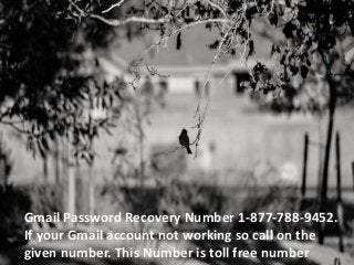 Gmail Password Recovery Number 1-877-788-9452.
If your Gmail account not working so call on the
given number. This Number is toll free number
 