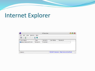Internet Explorer
 