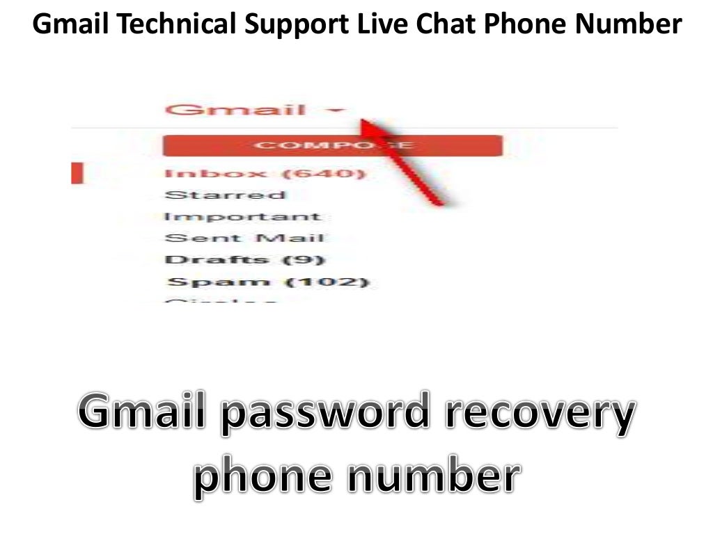 live chat phone number