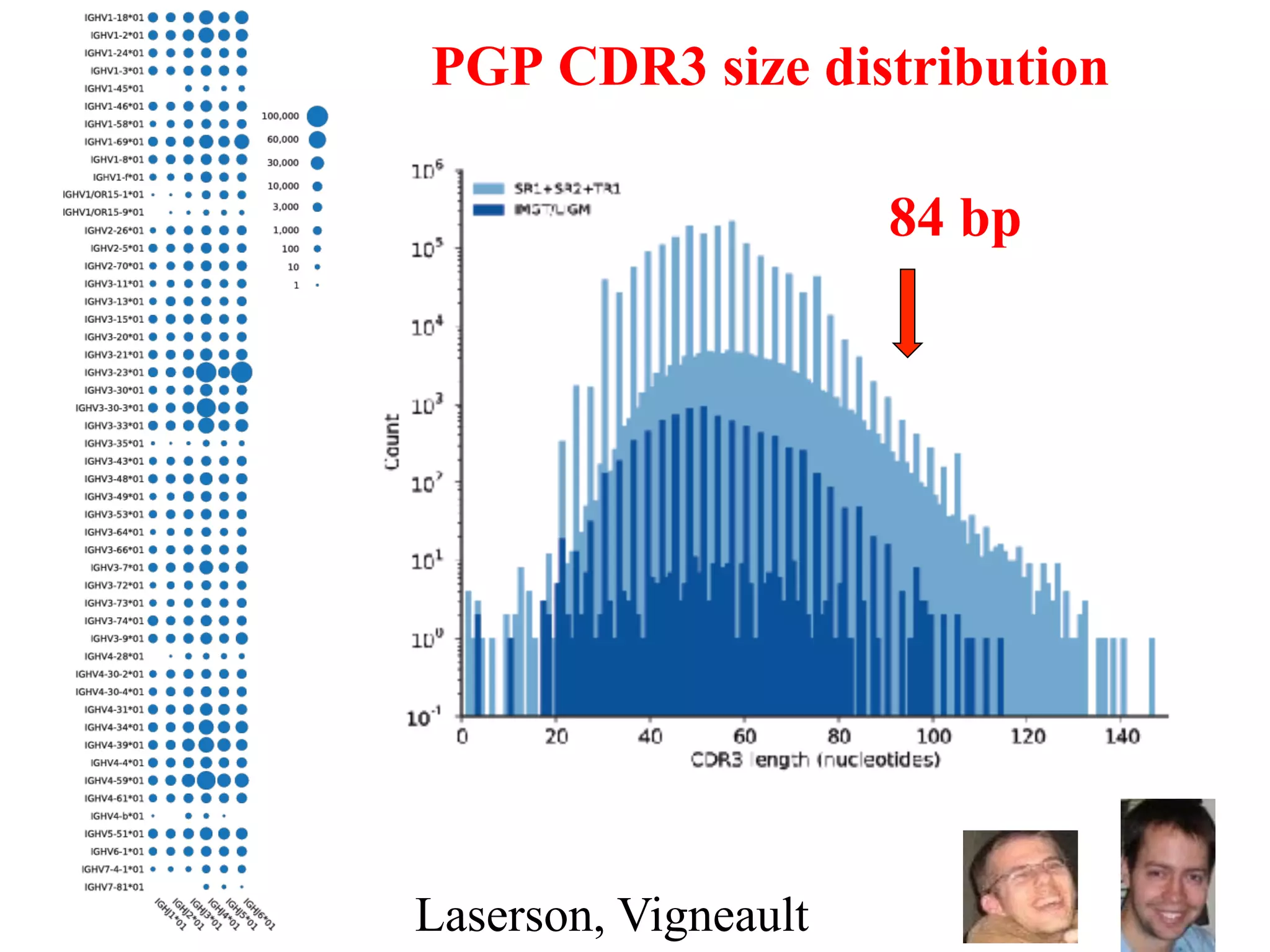PGP CDR3 size distribution

                      84 bp




                              15
Laserson, Vigneault
 
