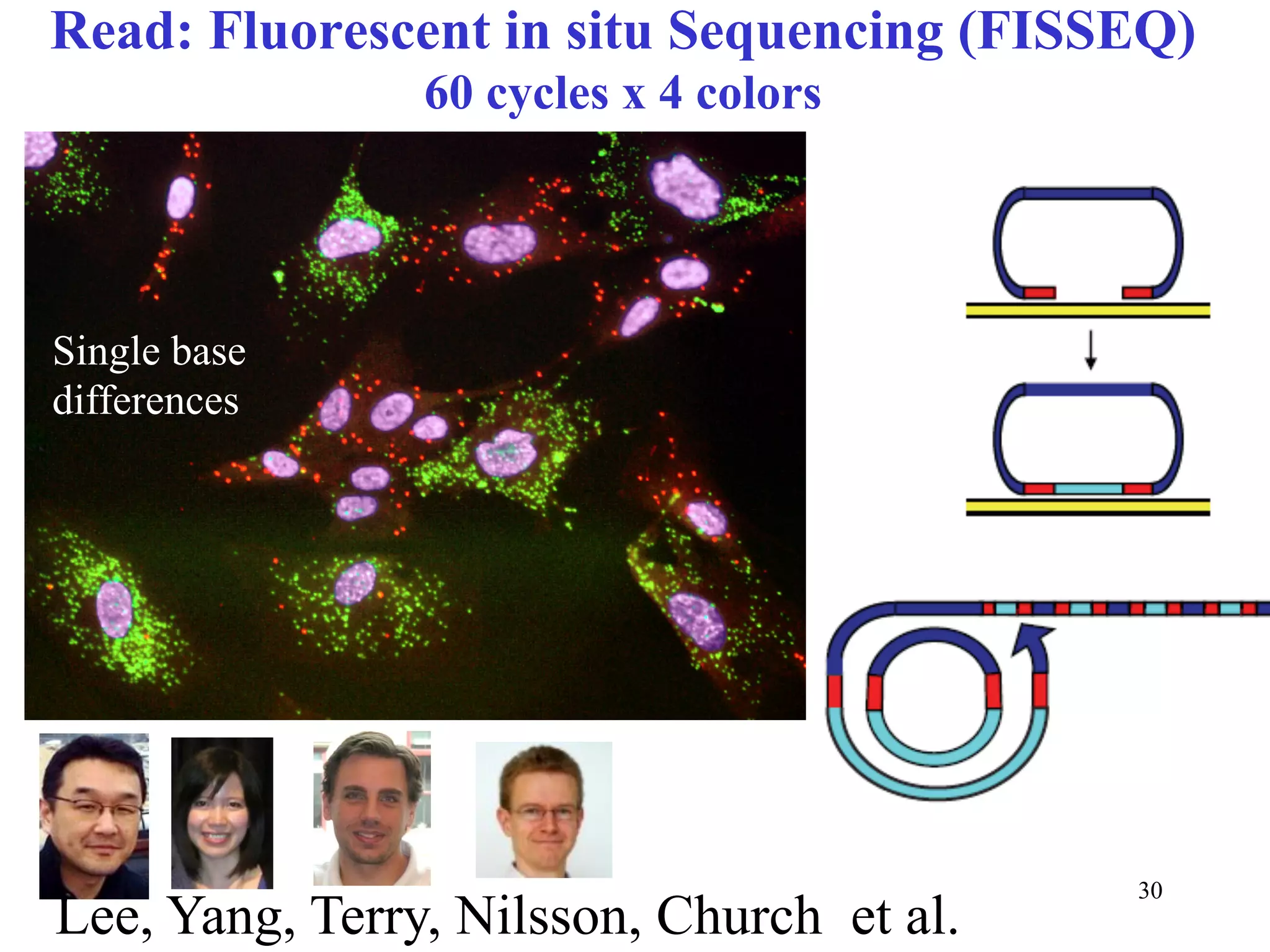 Read: Fluorescent in situ Sequencing (FISSEQ)
                60 cycles x 4 colors




Single base
differences




                                           30
Lee, Yang, Terry, Nilsson, Church et al.
 