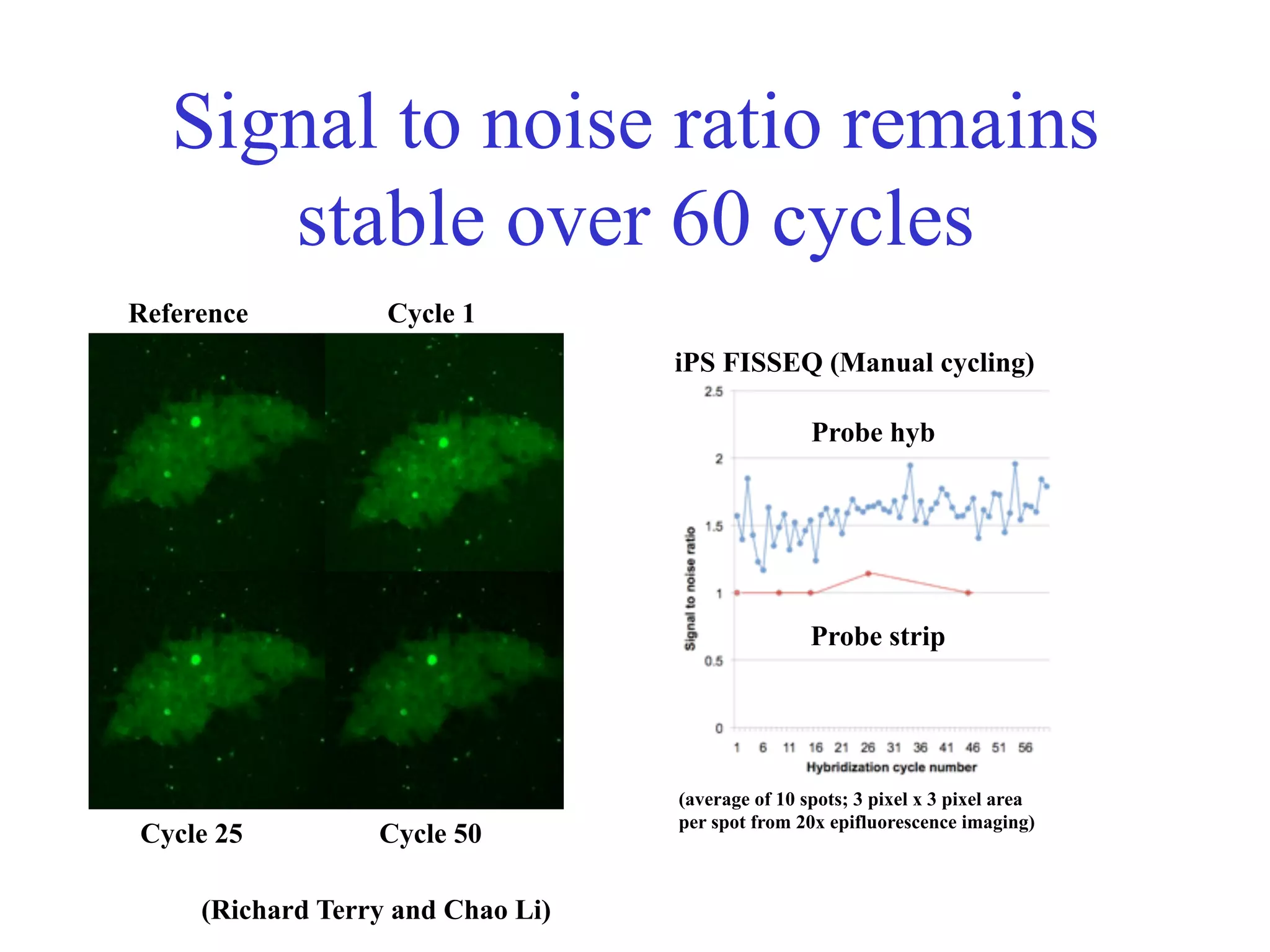 Signal to noise ratio remains
      stable over 60 cycles
Reference          Cycle 1
                                   iPS FISSEQ (Manual cycling)

                                                   Probe hyb




                                                   Probe strip




                                   (average of 10 spots; 3 pixel x 3 pixel area
                                   per spot from 20x epifluorescence imaging)
Cycle 25          Cycle 50

     (Richard Terry and Chao Li)
 