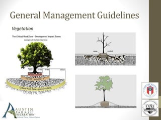 Grave Markers, Plot Curbs, Plot Fencing—Level Three
General Management Guidelines
 