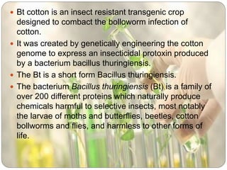  Bt cotton is an insect resistant transgenic crop
designed to combact the bolloworm infection of
cotton.
 It was created by genetically engineering the cotton
genome to express an insecticidal protoxin produced
by a bacterium bacillus thuringiensis.
 The Bt is a short form Bacillus thuringiensis.
 The bacterium Bacillus thuringiensis (Bt) is a family of
over 200 different proteins which naturally produce
chemicals harmful to selective insects, most notably
the larvae of moths and butterflies, beetles, cotton
bollworms and flies, and harmless to other forms of
life.
 