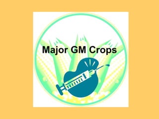 Major GM Crops 