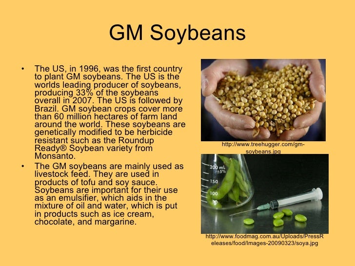 Major Modified Crops Major Modified Crops