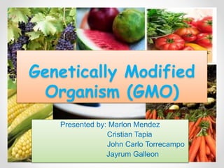 Genetically Modified
Organism (GMO)
Presented by: Marlon Mendez
Cristian Tapia
John Carlo Torrecampo
Jayrum Galleon
 