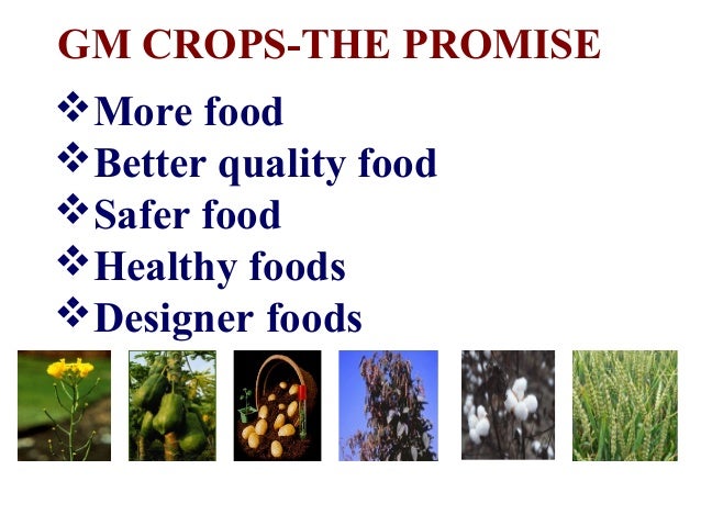 gm crops food security ppt crops ppt