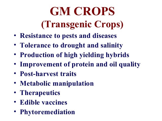 gm crops food security ppt crops ppt