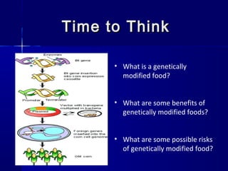 Time to ThinkTime to Think
• What is a genetically
modified food?
• What are some benefits of
genetically modified foods?
• What are some possible risks
of genetically modified food?
 