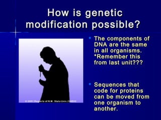 How is geneticHow is genetic
modification possible?modification possible?
 The components ofThe components of
DNA are the sameDNA are the same
in all organisms.in all organisms.
*Remember this*Remember this
from last unit???from last unit???
 Sequences thatSequences that
code for proteinscode for proteins
can be moved fromcan be moved from
one organism toone organism to
another.another.
 