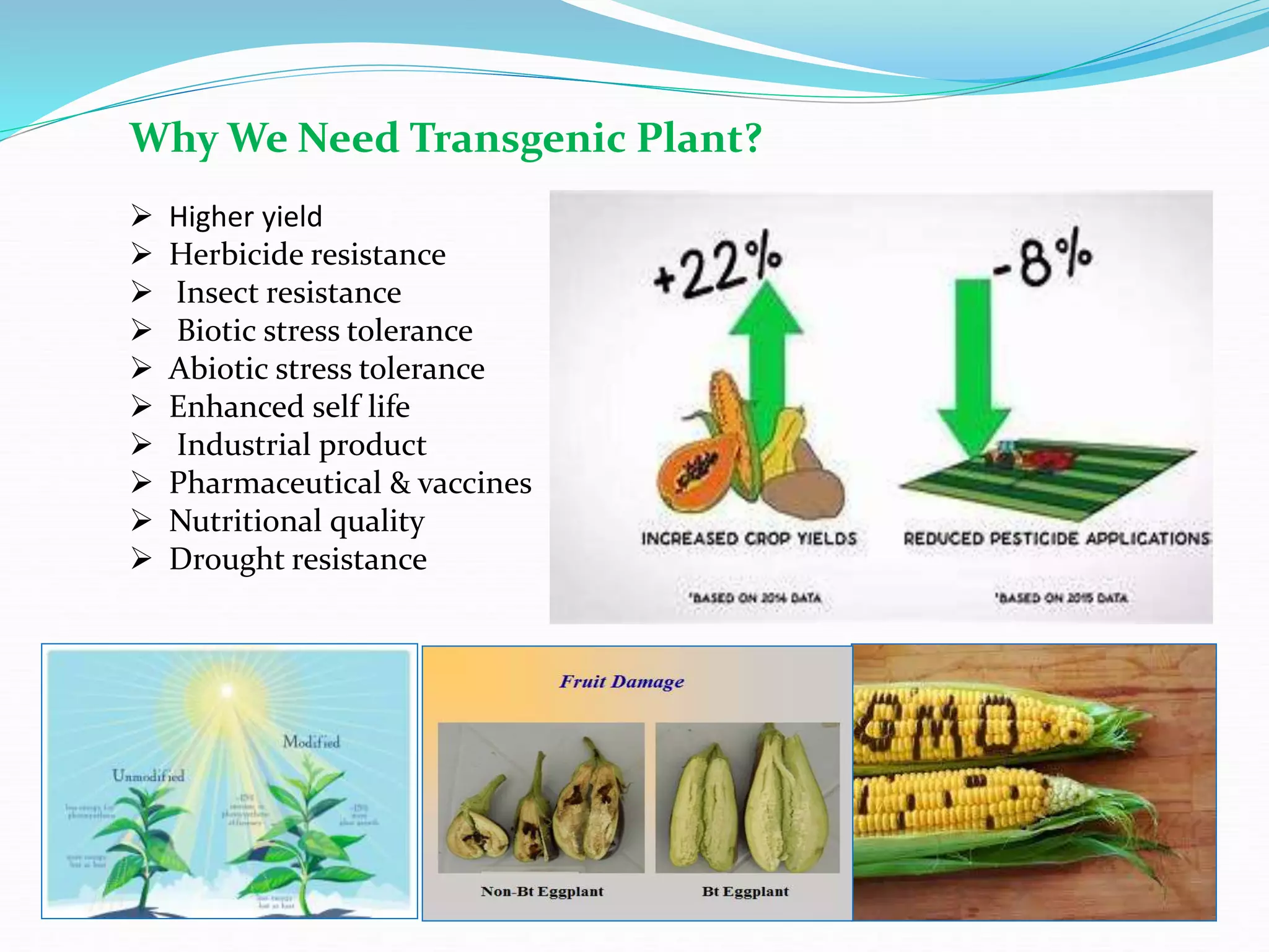 Genetic Engineering in Insect Pest management | PPT