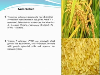 Golden Rice
 Transgenic technology produced a type of rice that
accumulates beta carotene in rice grains. When it is
consumed , beta carotene is converted into vitamin –
A . It contain 37 mg/g of carotenoid of which 84 %
is beta – carotene.
 Vitamin A deficiency (VAD) can negatively affect
growth and development, cause blindness, interfere
with growth epithelial cells and suppress the
immune system.
 