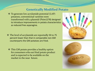 Genetically Modified Potato
 To generate low acrylamide potential (LAP)
potatoes, conventional varieties were
transformed with a plasmid (Psim1278) designed
to introduce improvements in potato characteristics
as reduced free asparagine.
 The level of acrylamide are reportedly 50 to 75
percent lower than that in comparable non-GM
counterparts the GM potatoes are fried.
 This GM potato provides a healthy option
for consumers who eat fried potato product
and is expected to be available on the
market in the near future.
 
