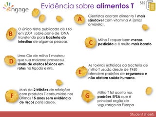 Student sheets
Milho T foi aceito nos
padrões EFSA que é
principal orgão de
segurança na Europa
As toxinas extraídas da bacteria de
milho T usada desde de 1960
atendem padrões de seguranca e
não afetam saúde humana.
E
D
Uma Cia de milho T mostrou
que sua maizena provocou
sinais de efeitos tóxicos em
ratos no fígado e rins.
SS2
A
B
C
Mais de 2 trilhões de refeições
com produtos T consumidos nos
últimos 15 anos sem evidência
de riscos para sáude.
F G
Cientistas criaram alimento T mais
sáudavel com vitamina A (arroz
amarelo).
O único teste publicado de T foi
em 2004 sobre parte de DNA
transferido para bacteria do
intestino de algumas pessoas.
Milho T requer bem menos
pesticida e é muito mais barato
Evidência sobre alimentos T
 