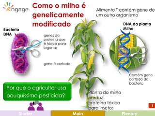 5
Starter PlenaryMain
Bacteria
DNA
DNA da planta
Milho
gene é cortado
Contém gene
cortado da
bacteria
Planta do milho
produz
proteína tóxica
para insetos
Por que o agricultor usa
pouquíssimo pesticida?
Como o milho é
geneticamente
modificado
Alimento T contém gene de
um outro organismo
genes da
proteína que
é tóxica para
lagartas
 