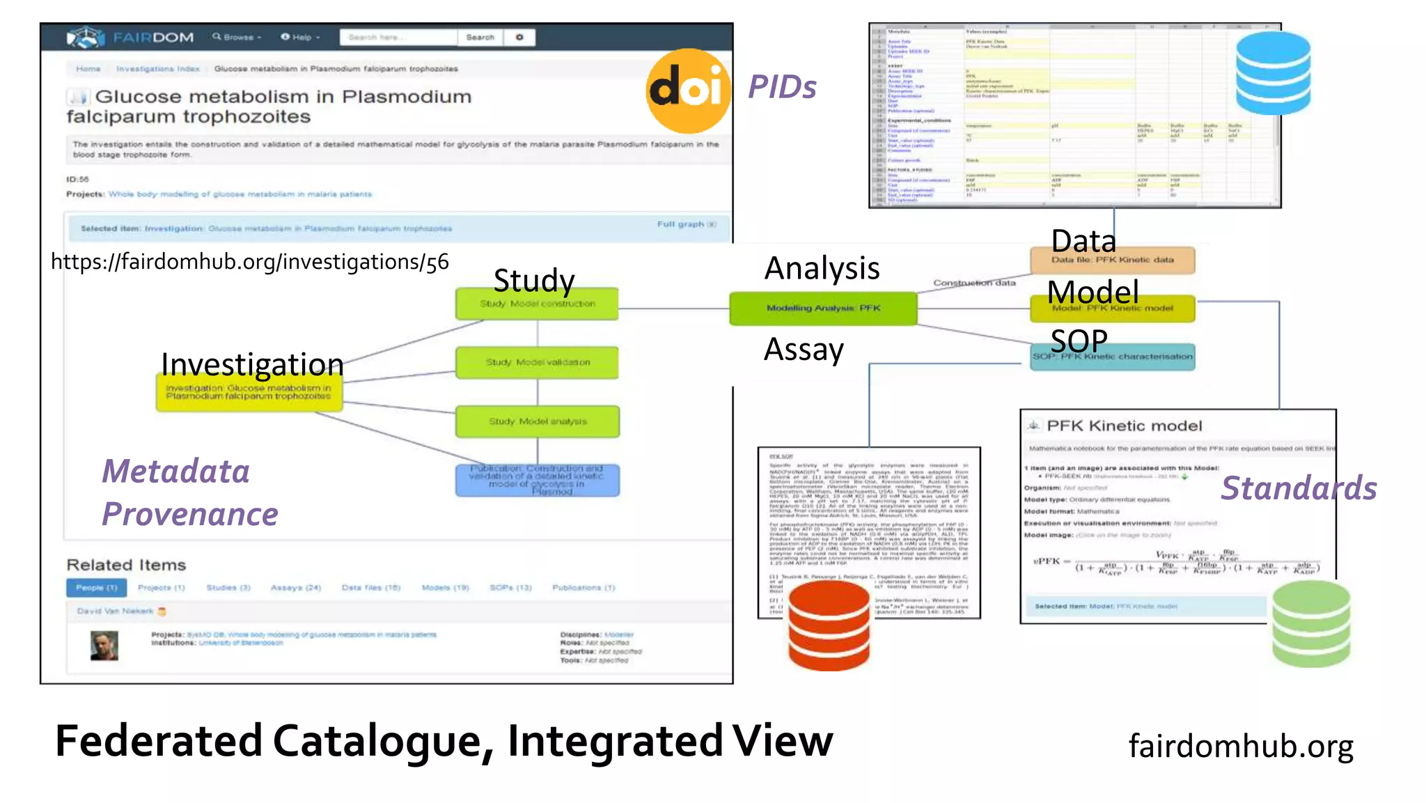 Investigation
Study Analysis
Data
Model
SOPAssay
https://fairdomhub.org/investigations/56
Metadata
Provenance
Standards
Federated Catalogue, IntegratedView
PIDs
fairdomhub.org
 