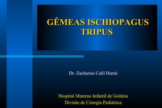 GÊMEAS ISCHIOPAGUS TRIPUS  Dr. Zacharias Calil Hamú Hospital Materno Infantil de Goiânia Divisão de Cirurgia Pediátrica 