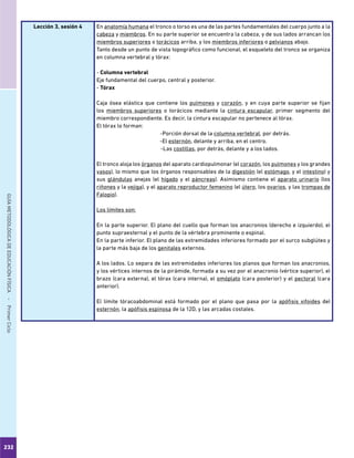 232
GUÍAMETODOLÓGICADEEDUCACIÓNFÍSICA - PrimerCiclo
Lección 3, sesión 4 En anatomía humana el tronco o torso es una de las partes fundamentales del cuerpo junto a la
cabeza y miembros. En su parte superior se encuentra la cabeza, y de sus lados arrancan los
miembros superiores o torácicos arriba, y los miembros inferiores o pelvianos abajo.
Tanto desde un punto de vista topográfico como funcional, el esqueleto del tronco se organiza
en columna vertebral y tórax:
- Columna vertebral
Eje fundamental del cuerpo, central y posterior.
- Tórax
Caja ósea elástica que contiene los pulmones y corazón, y en cuya parte superior se fijan
los miembros superiores o torácicos mediante la cintura escapular, primer segmento del
miembro correspondiente. Es decir, la cintura escapular no pertenece al tórax.
El tórax lo forman:
-Porción dorsal de la columna vertebral, por detrás.
-El esternón, delante y arriba, en el centro.
-Las costillas, por detrás, delante y a los lados.
El tronco aloja los órganos del aparato cardiopulmonar (el corazón, los pulmones y los grandes
vasos), lo mismo que los órganos responsables de la digestión (el estómago, y el intestino) y
sus glándulas anejas (el hígado y el páncreas). Asimismo contiene el aparato urinario (los
riñones y la vejiga), y el aparato reproductor femenino (el útero, los ovarios, y las trompas de
Falopio).
Los límites son:
En la parte superior. El plano del cuello que forman los anacronios (derecho e izquierdo), el
punto supraesternal y el punto de la vértebra prominente o espinal.
En la parte inferior. El plano de las extremidades inferiores formado por el surco subglúteo y
la parte más baja de los genitales externos.
A los lados. Lo separa de las extremidades inferiores los planos que forman los anacronios,
y los vértices internos de la pirámide, formada a su vez por el anacronio (vértice superior), el
brazo (cara externa), el tórax (cara interna), el omóplato (cara posterior) y el pectoral (cara
anterior).
El límite tóracoabdominal está formado por el plano que pasa por la apófisis xifoides del
esternón, la apófisis espinosa de la 12D, y las arcadas costales.
 