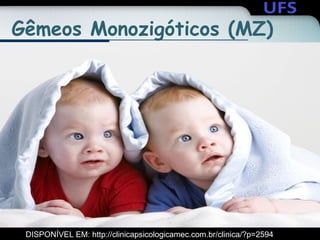Gêmeos Monozigóticos (MZ)
DISPONÍVEL EM: http://clinicapsicologicamec.com.br/clinica/?p=2594
 