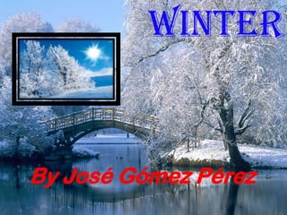 Winter

By José Gómez Pérez

 