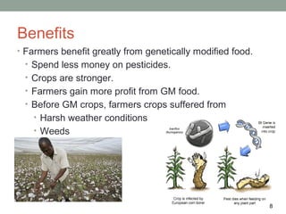 Benefits
•   Farmers benefit greatly from genetically modified food.
    • Spend less money on pesticides.
    • Crops are stronger.
    • Farmers gain more profit from GM food.
    • Before GM crops, farmers crops suffered from
      • Harsh weather conditions
      • Weeds
      • Bugs/animals




                                                              8
 